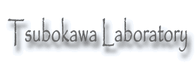 Tsubokawa Laboratory